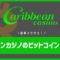 カリビアンカジノのビットコイン入出金